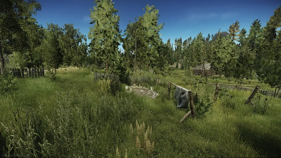 The second ritual spot in the Woods