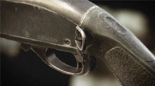 Silent Caliber